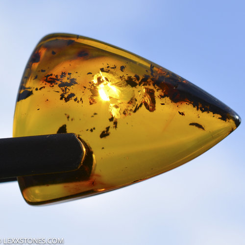 Natural Baltic Citrine Amber Cabochon by Lexx Stones