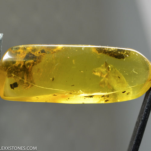 Beautiful Polished Natural Baltic Citrine Amber "Bear" by Lexx Stones 33 Carats