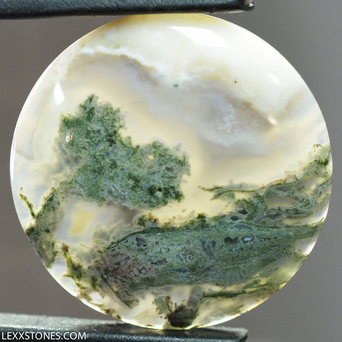 Rare Old Stock Horse Canyon Green Moss Agate  Gemstone Cabochon Hand Crafted By Lexx Stones 38 Carats