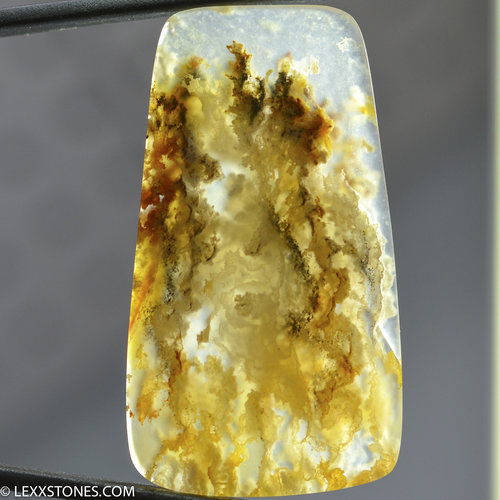 Stunning Graveyard Point Plume Agate Gemstone Cabochon Hand Crafted By Lexx Stones 56 Carats