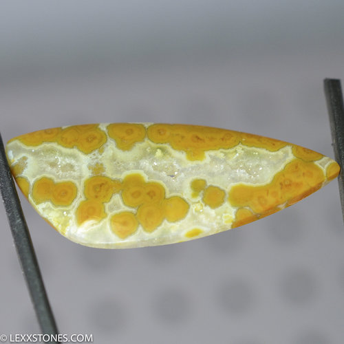 Orbicular Indonesian River Jasper Gemstone Double Sided Cabochon Hand Crafted By LEXX STONES 32 Carats