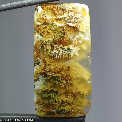 Gorgeous North Ridge Plume Agate Gemstone Cabochon Hand Crafted By Lexx Stones 61 Carats