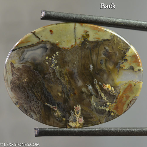 Authentic Priday Thunderegg Plume Moss Agate Gemstone Cabochon Hand Crafted By Lexx Stones 40 Carats