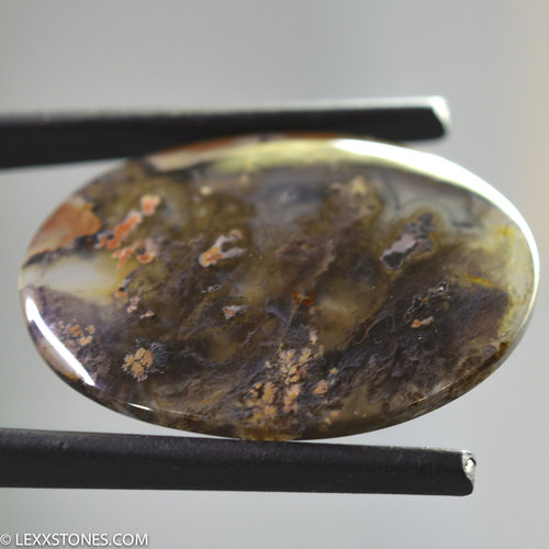 Authentic Priday Thunderegg Plume Moss Agate Gemstone Cabochon Hand Crafted By Lexx Stones 40 Carats