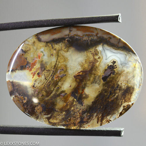 Authentic Priday Thunderegg Plume Moss Agate Gemstone Cabochon Hand Crafted By Lexx Stones 40 Carats