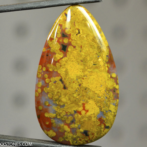 Ocean Jasper Lexx Stones