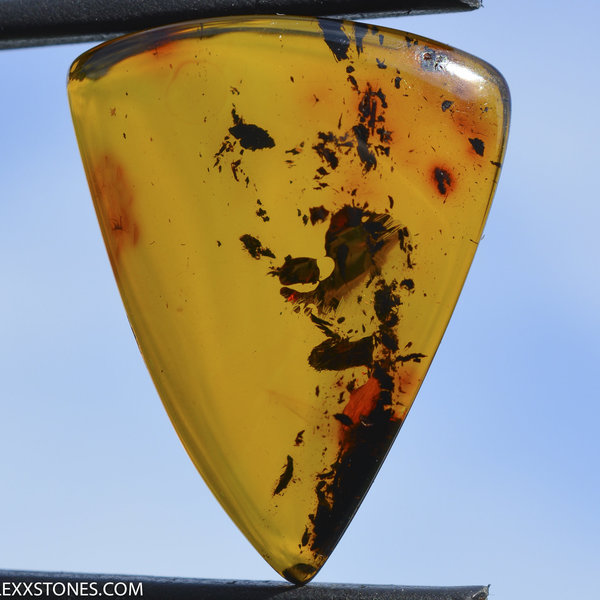Natural Baltic Citrine Amber Cabochon by Lexx Stones