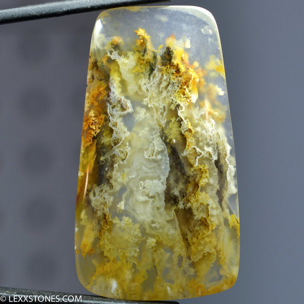 Stunning Graveyard Point Plume Agate Gemstone Cabochon Hand Crafted By Lexx Stones 56 Carats