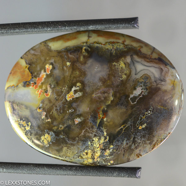 Authentic Priday Thunderegg Plume Moss Agate Gemstone Cabochon Hand Crafted By Lexx Stones 40 Carats