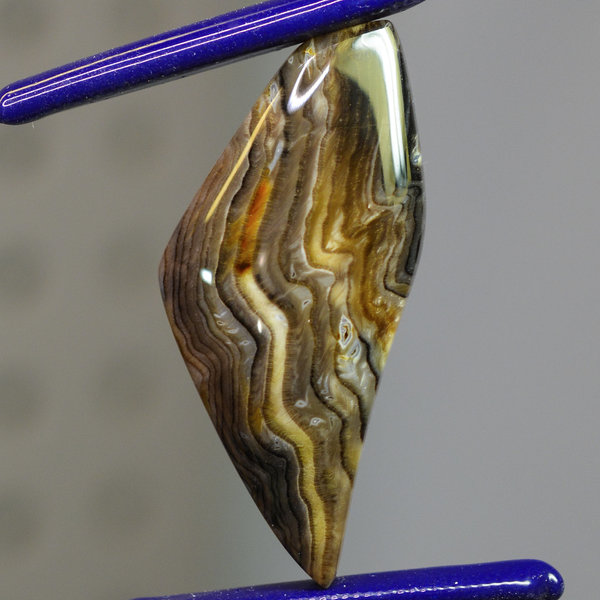 Rare Hells Canyon Petrified Wood Gemstone Cabochon Hand Crafted By LEXX STONES 48 Carats
