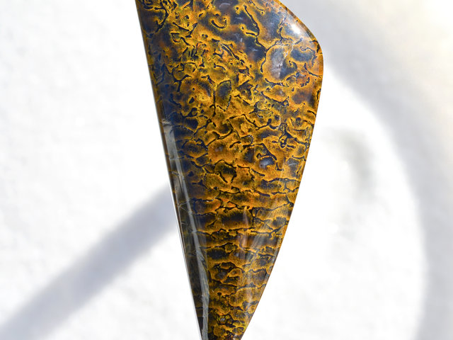 Gem Dinosaur Bone Lexx Stones