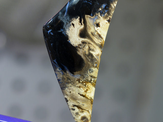 Indonesian Palm Root Lexx Stones