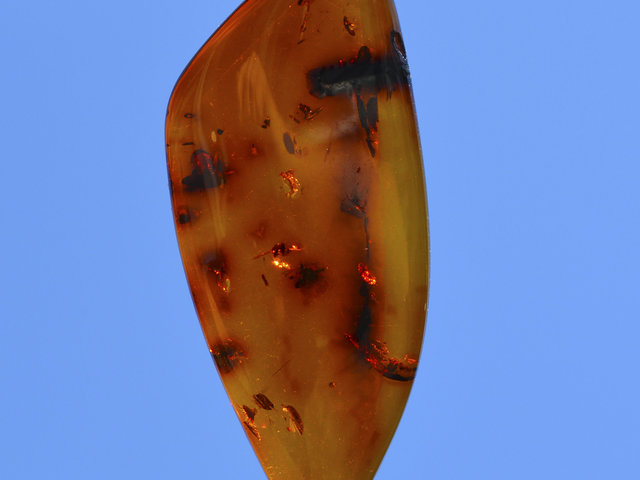 Baltic Cognac Amber Cabochon by Lexx Stones