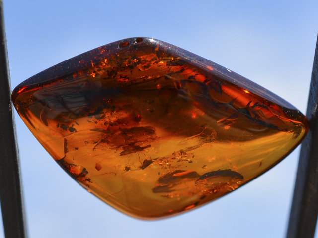 Beautiful Polished Natural Baltic Cognac Amber Cabochon by Lexx Stones