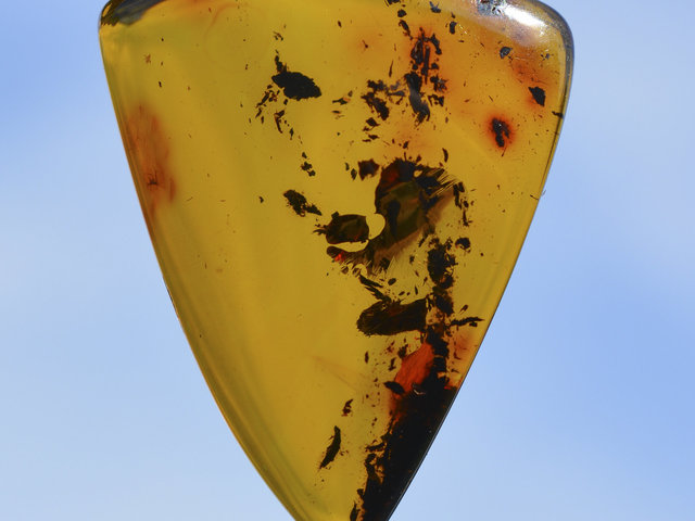Natural Baltic Citrine Amber Cabochon by Lexx Stones