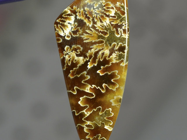 Organic Devonian Ammonite Cleoniceras Fossil  Gemstone Cabochon Hand Crafted By LEXX STONES 72 Carats